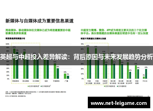 英超与中超投入差异解读:背后原因与未来发展趋势分析 英超与中超投入差异解读:背后原因与未来发展趋势分析