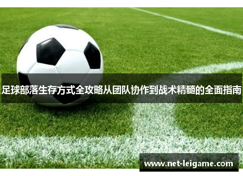 足球部落生存方式全攻略从团队协作到战术精髓的全面指南