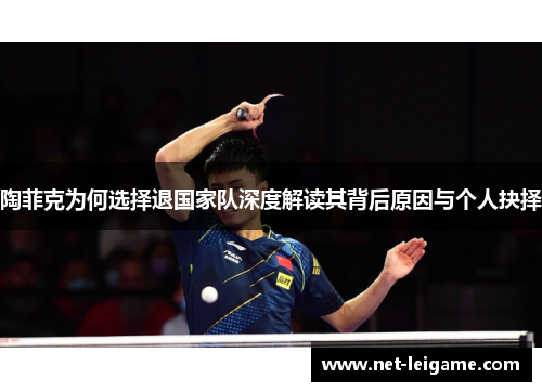 陶菲克为何选择退国家队深度解读其背后原因与个人抉择 陶菲克为何选择退国家队深度解读其背后原因与个人抉择