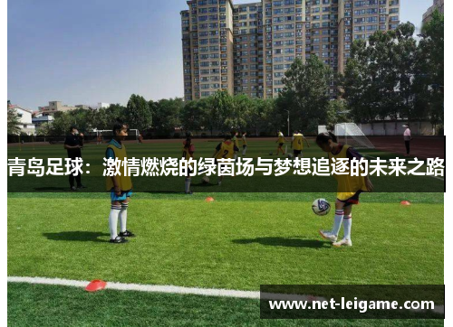 青岛足球:激情燃烧的绿茵场与梦想追逐的未来之路 青岛足球:激情燃烧的绿茵场与梦想追逐的未来之路