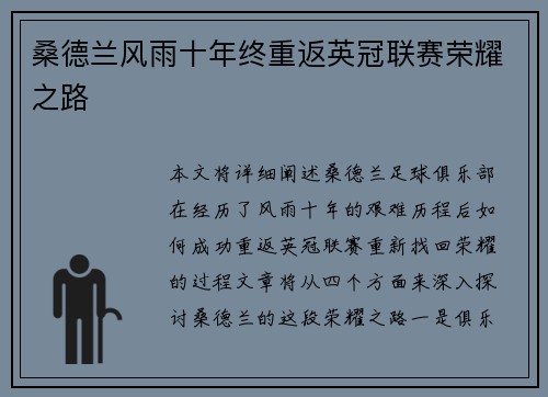 桑德兰风雨十年终重返英冠联赛荣耀之路